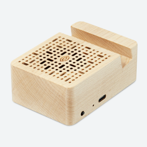 ECHO Bluetooth Speaker with Mobile Stand
